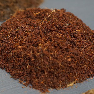 Extensión Tutor de Musgo Sphagnum 30 cm (Montable)