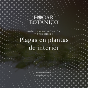 eBook | Guía de identificación y prevención