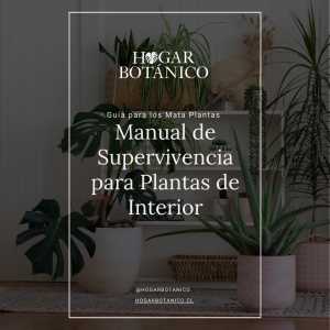 ebook | Guía para los mata plantas