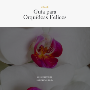 eBook | Guía para orquídeas felices